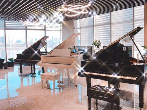 钢琴零售生产 长沙蓝音钢琴价格实惠 永州钢琴零售